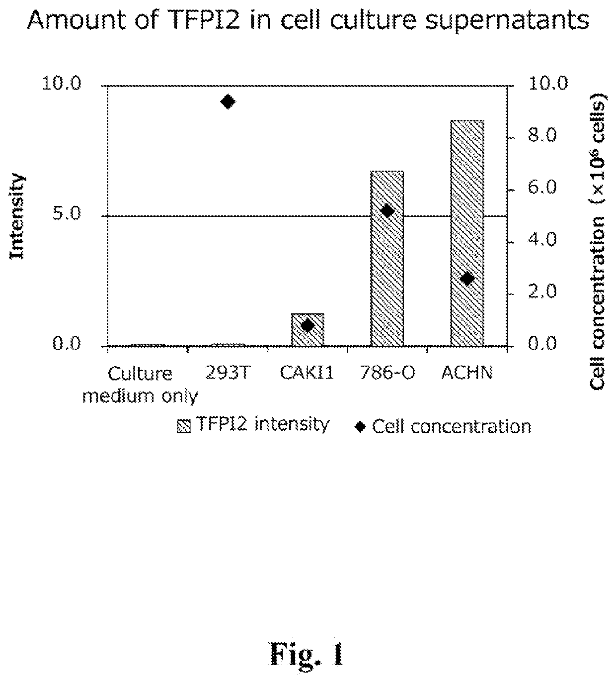 Renal cancer detection method and test drug