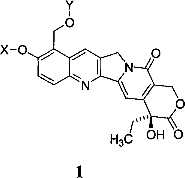 10-hydroxyamptothecin derivative, and its preparation method and application