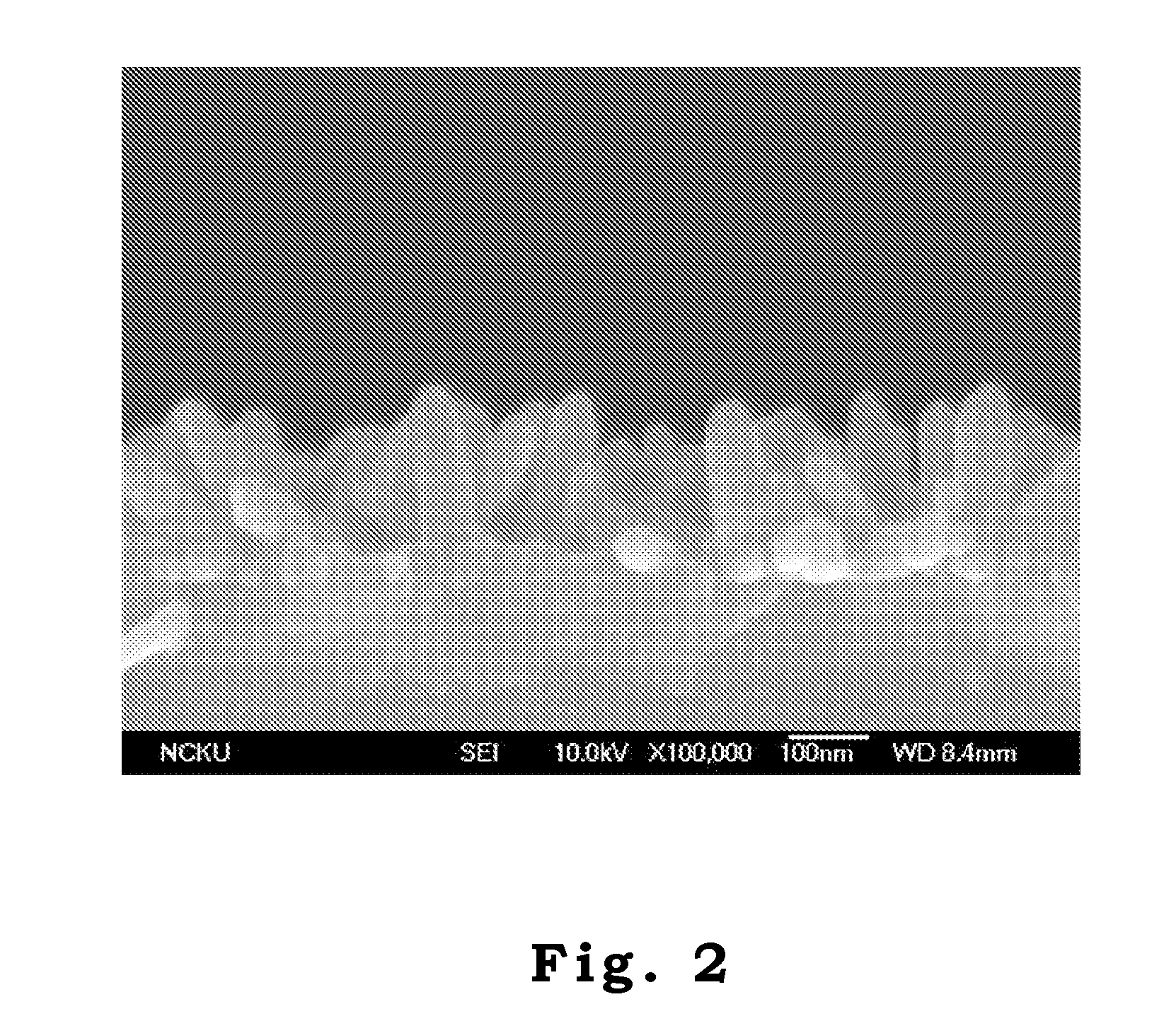 Solar Cell Having Tree-Like Nanostructure and Method for Preparing the Same
