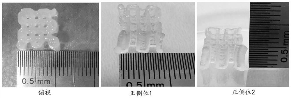 A 3D printed flaxseed hydrogel scaffold and preparation method and application