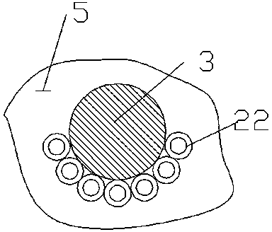 Nut protein extracting device with output tube and primary auxiliary teeth