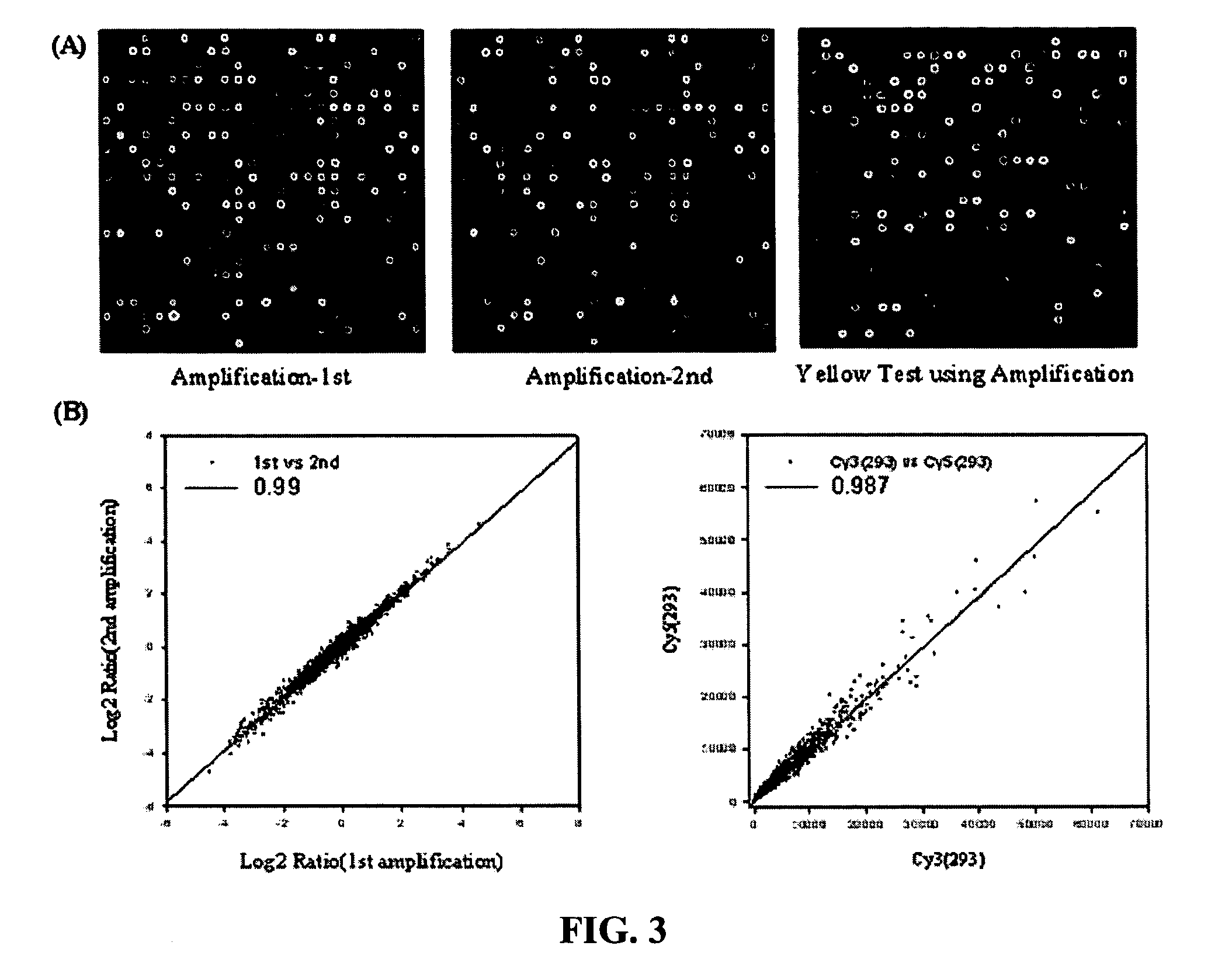 Method for linear amplification of RNA using high-heel primer