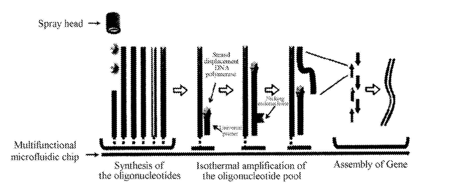 Gene synthesis process, gene chip and kit