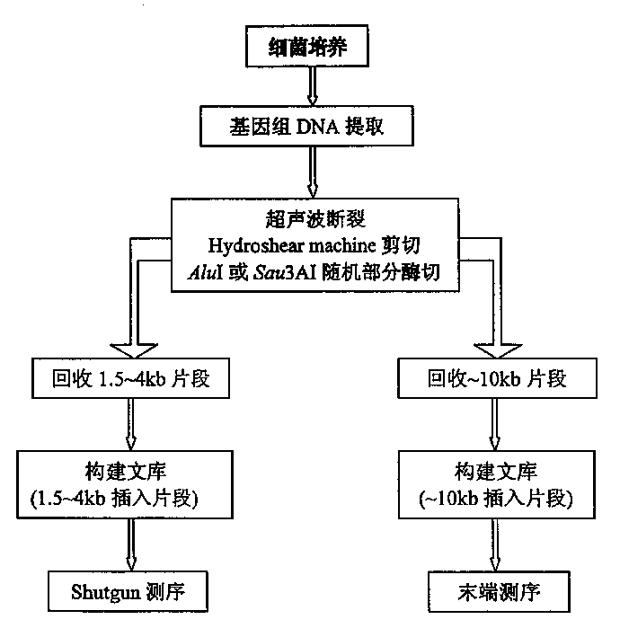 High-temp. resistant isocitric dehydrogenase gene, its coded polypeptide and its preparation method