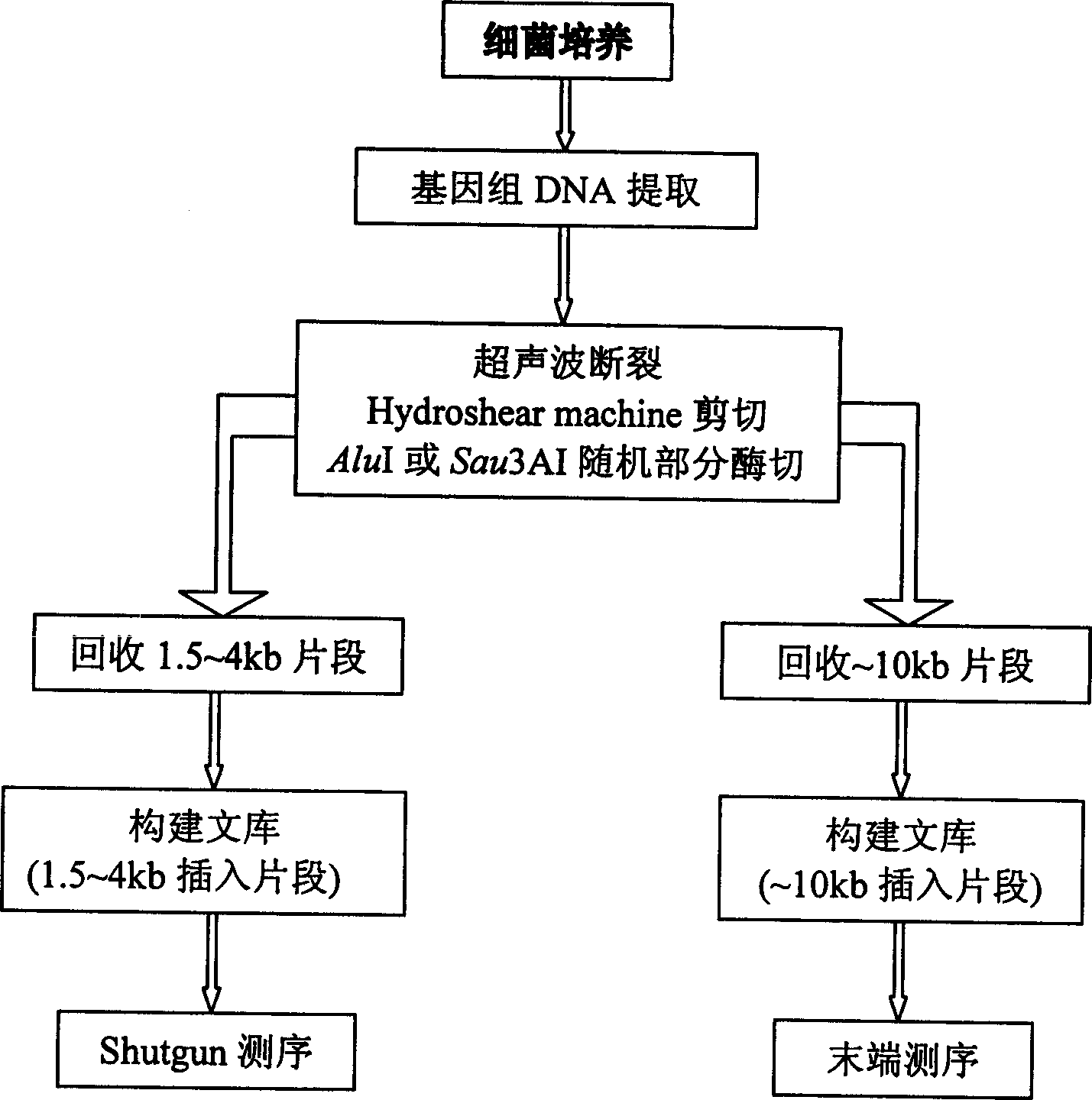 High-temp. resistant isocitric dehydrogenase gene, its coded polypeptide and its preparation method