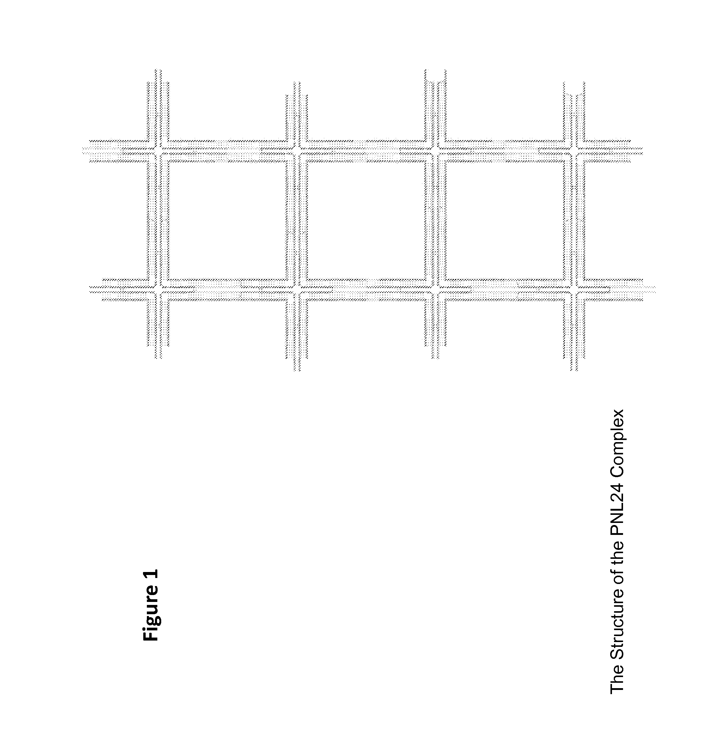 Finite fully addressable nucleic acid nanostructures as nanocarriers for delivery of pharmaceuticals