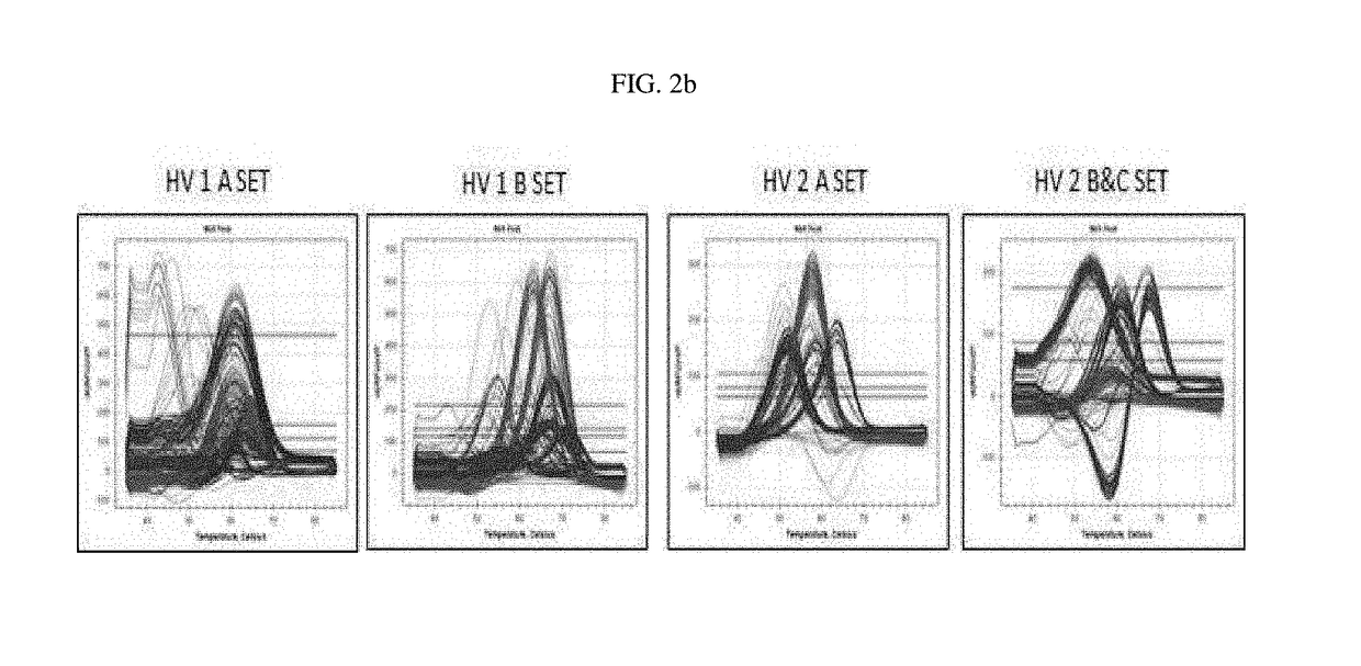 Method for analyzing SNP of mitochondrial DNA using pna probe and melting curve analysis