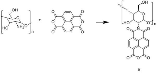 A kind of production technology of amphiphilic silica-chitosan composite airgel