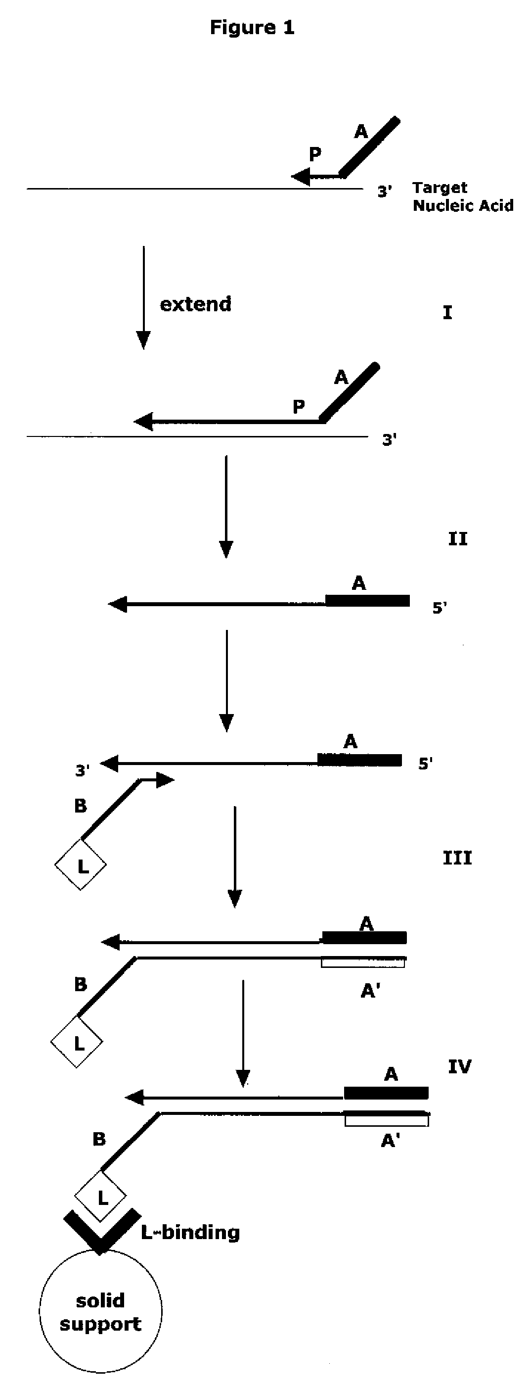 Method for Archiving and Clonal Expansion