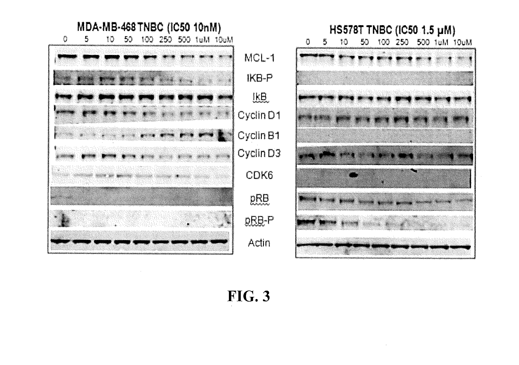 Hydrazide containing nuclear transport modulators and uses thereof