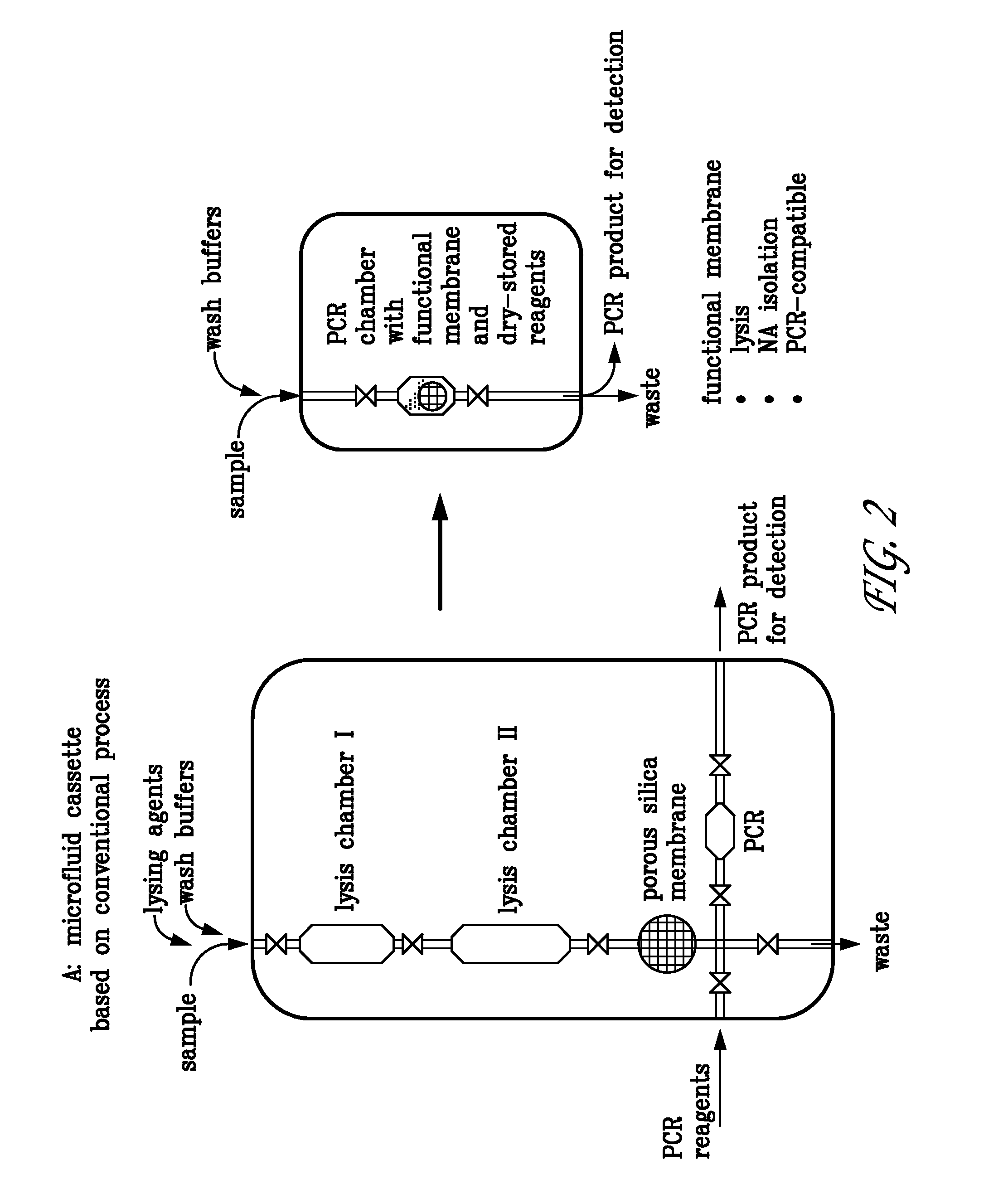 Integrated PCR Reactor for Cell Lysis, Nucleic Acid Isolation and Purification, and Nucleic Acid Amplication Related Applications