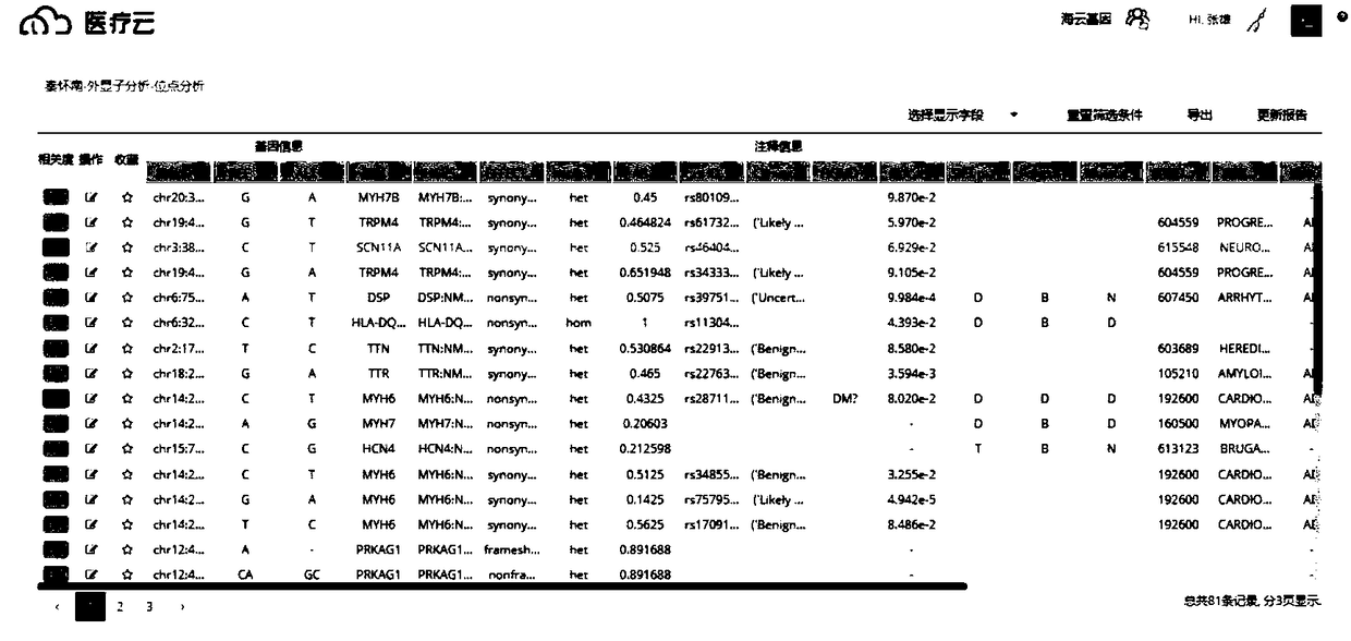 Gene analysis guide system and method