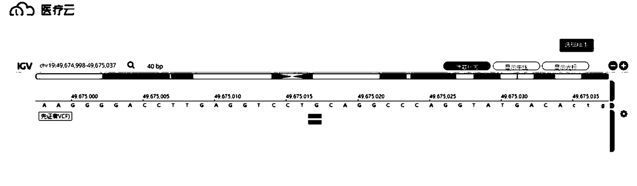 Gene analysis guide system and method