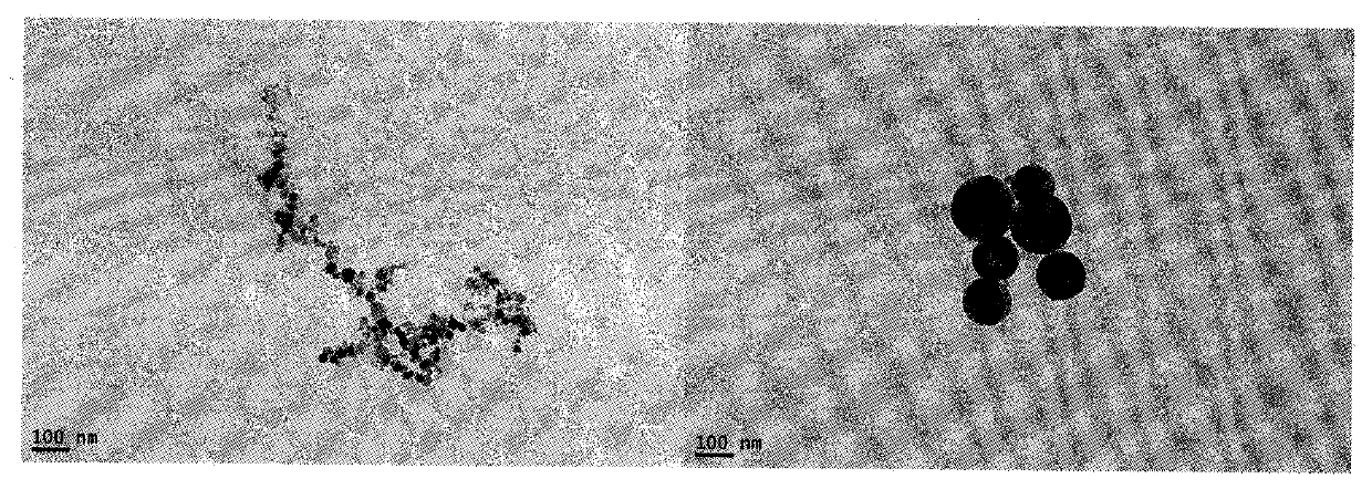 Octapeptide modified dexamethasone, its preparation, nanostructure and application