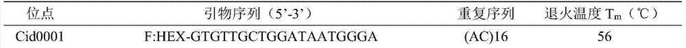 Grass carp excellent line molecule-assisted breeding and breeding effect verification method