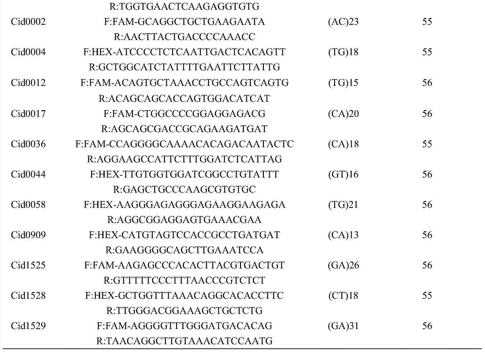 Grass carp excellent line molecule-assisted breeding and breeding effect verification method