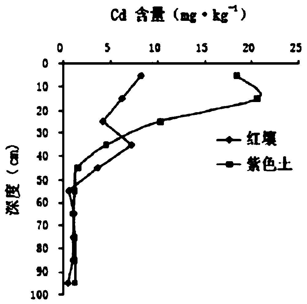 Cadmium-lowering composite fertilizer and application method thereof