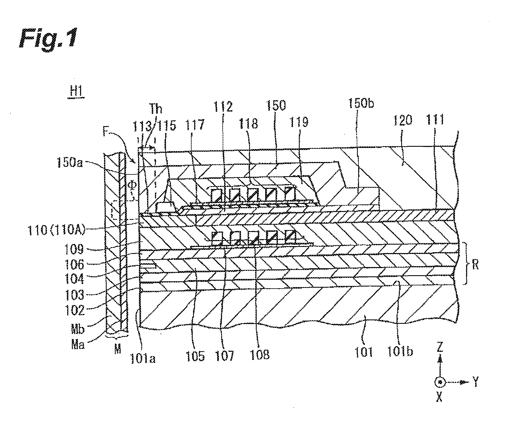 Perpendicular magnetic recording head