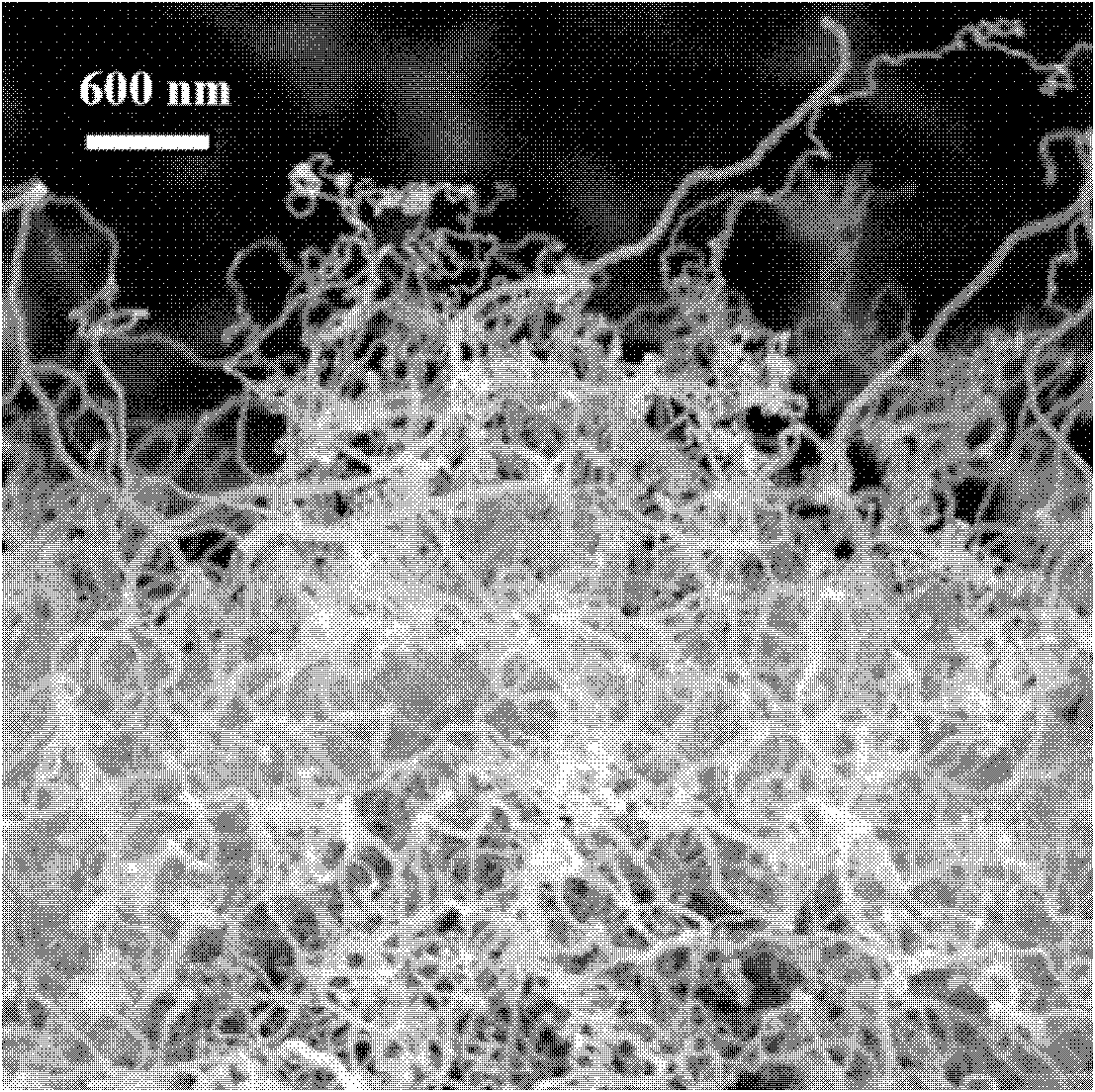Method for synthesis of carbon nanostructure material by using organic material
