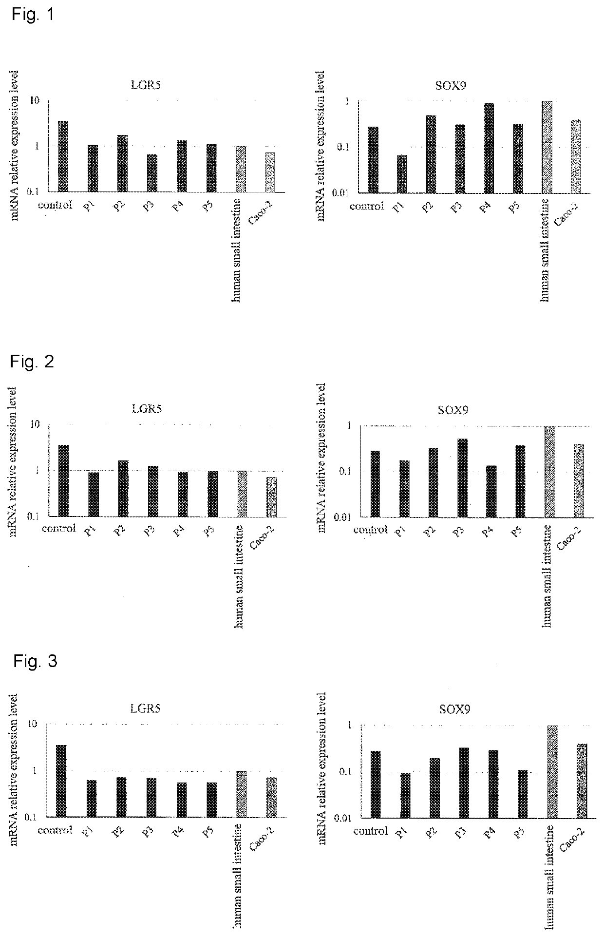 Maintenance culture of induced pluripotent stem cell-derived intestinal stem cells