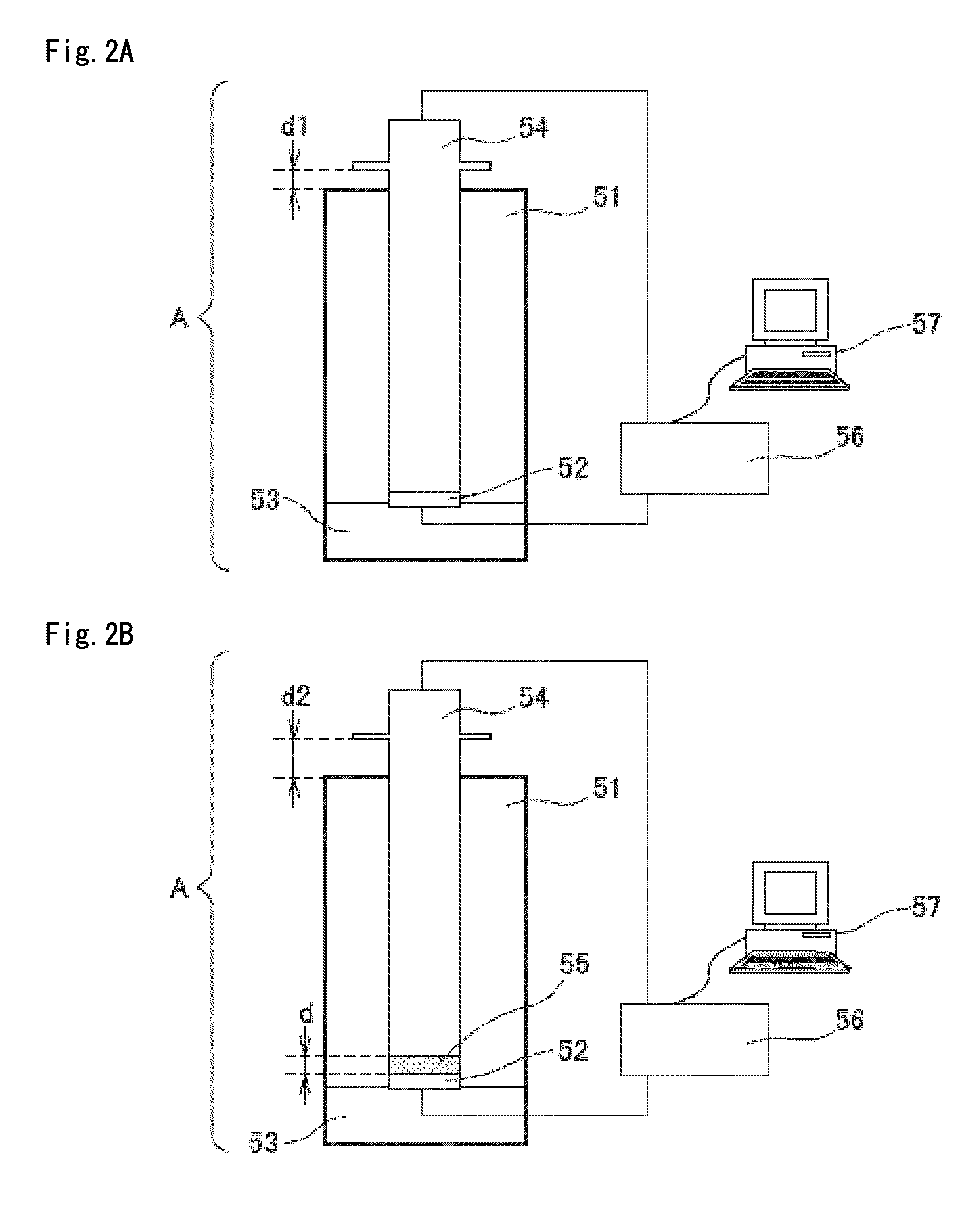 Magnetic carrier and two-component developer