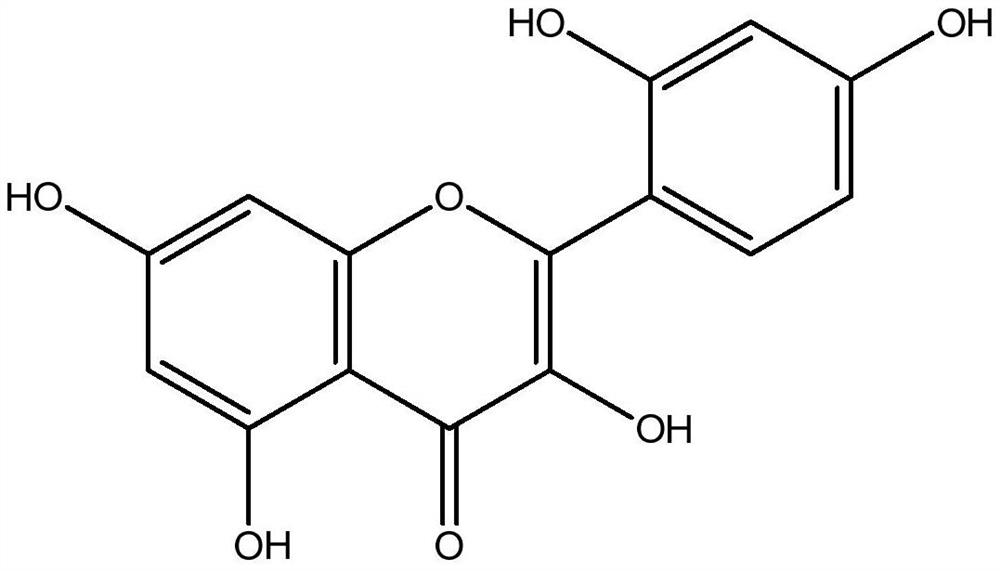 Application of Morin in Preparation of Fruit Preservative