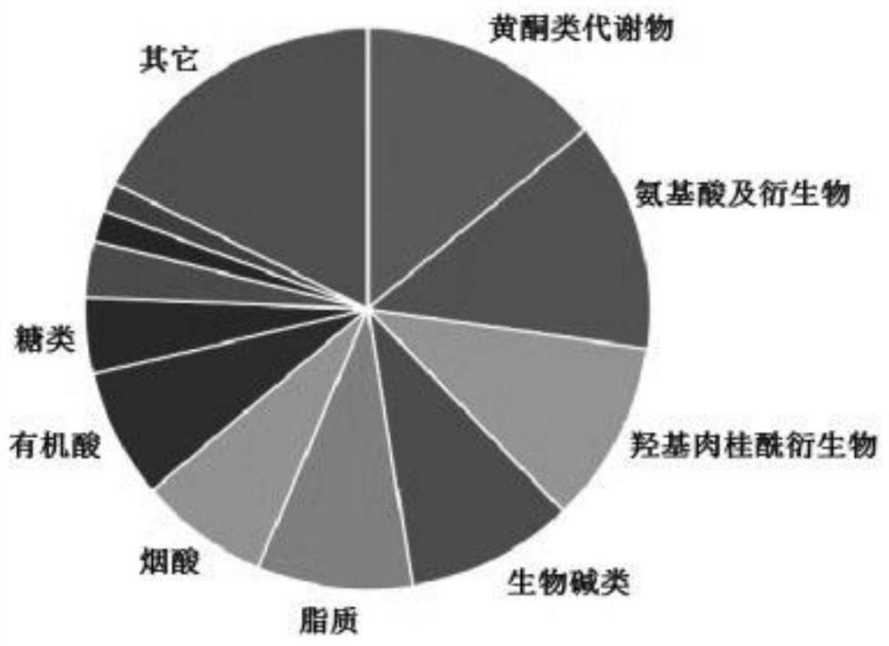 Metabonomics database establishment method and application of Chinese wolfberry tissues