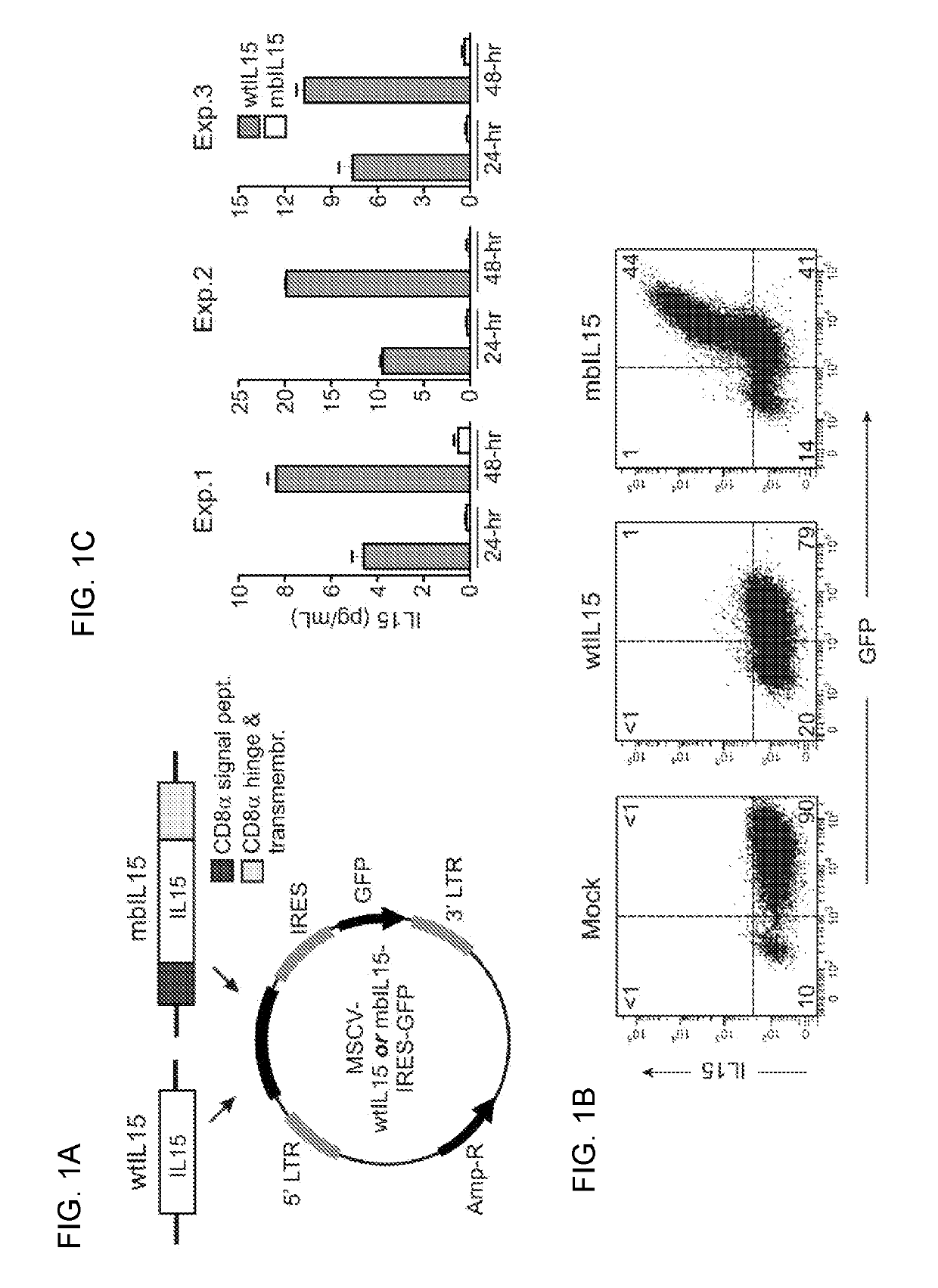 Modified natural killer cells that express IL15 and uses thereof