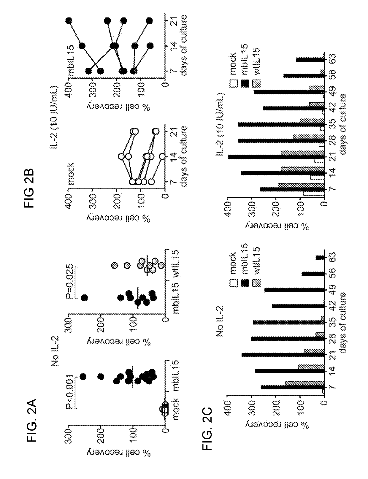 Modified natural killer cells that express IL15 and uses thereof