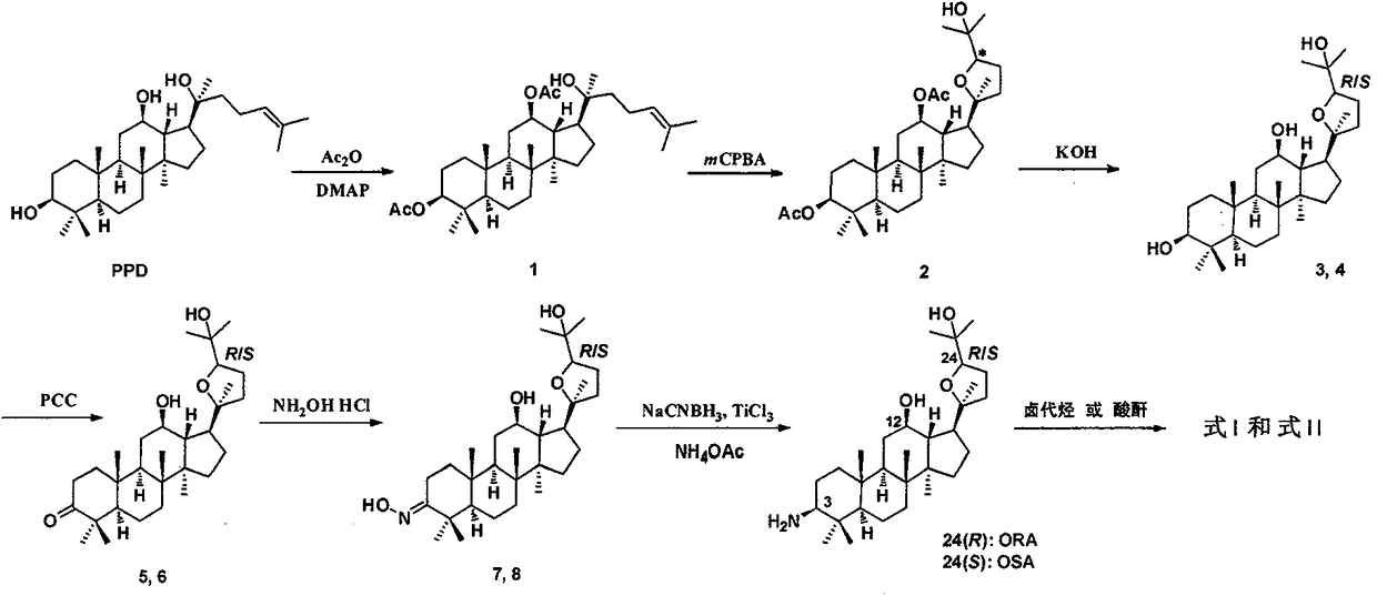 Preparation method and application of (20s, 24r/s)-epoxy-12β, 25-hydroxyl-dammarane-3β-amine derivative