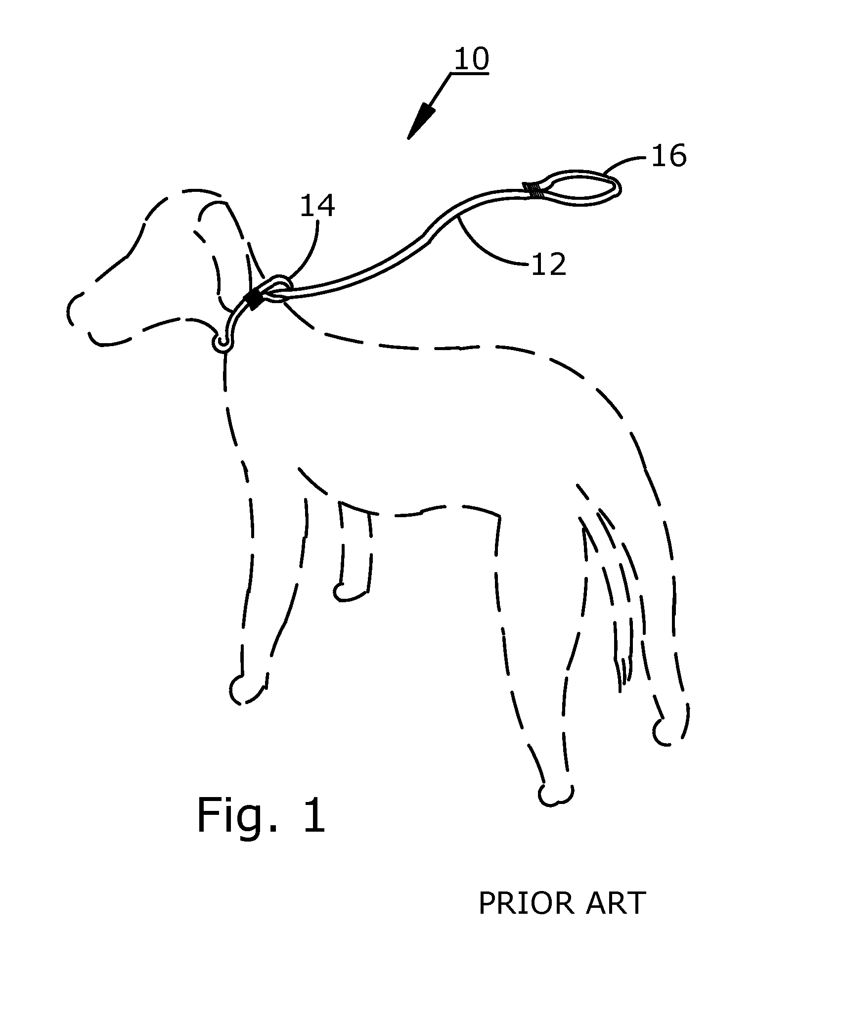 Convertible and size adaptable dog lead