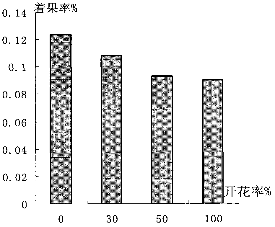 Panicle arrangement method for improving Kyoho grape setting rate