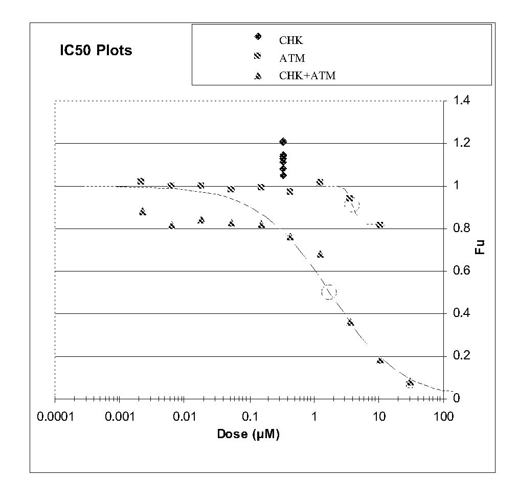 Combination of checkponit kinase (CHK) and telangiectasia mutated (ATM) inhibitors for the treatment of cancer