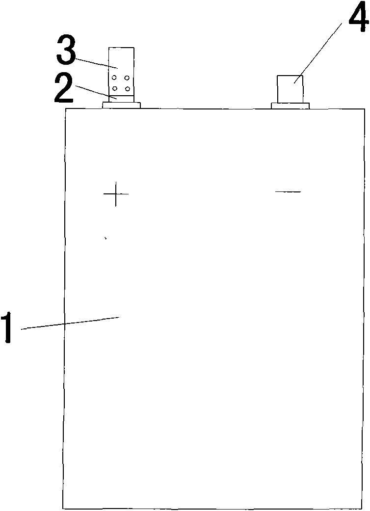 Soft packing lithium ion battery and method of producing same