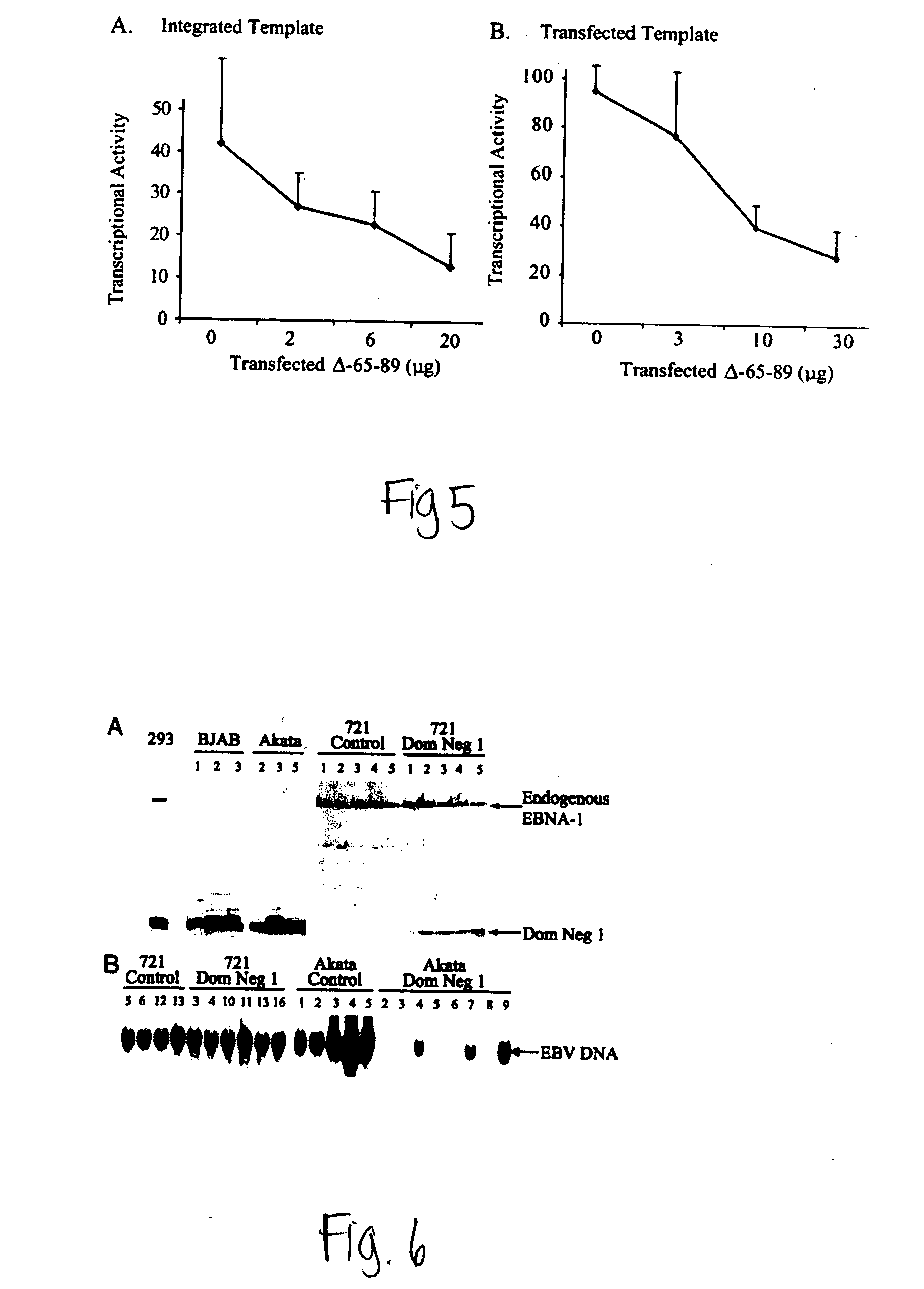 Non-cytotoxic oriP replicon