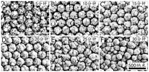 Photonic crystal template based gold or silver inverse opal microspheres and preparation method thereof