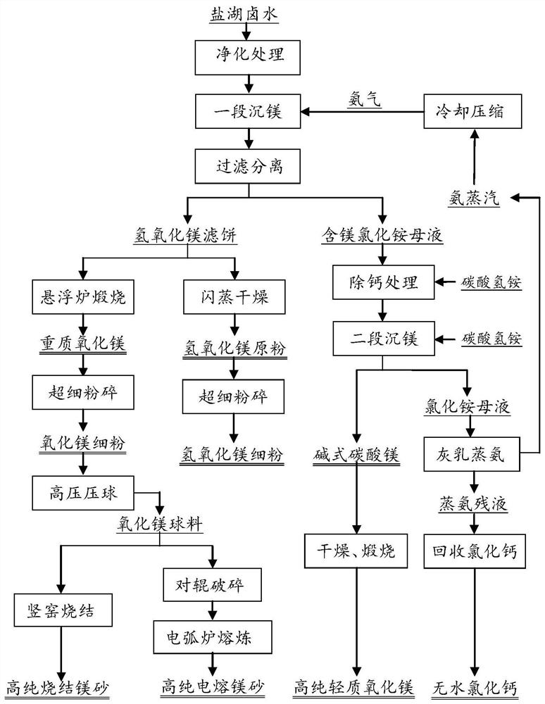 Method for producing high-purity magnesium hydroxide, high-purity magnesium oxide and high-purity magnesia series magnesium products from salt lake brine