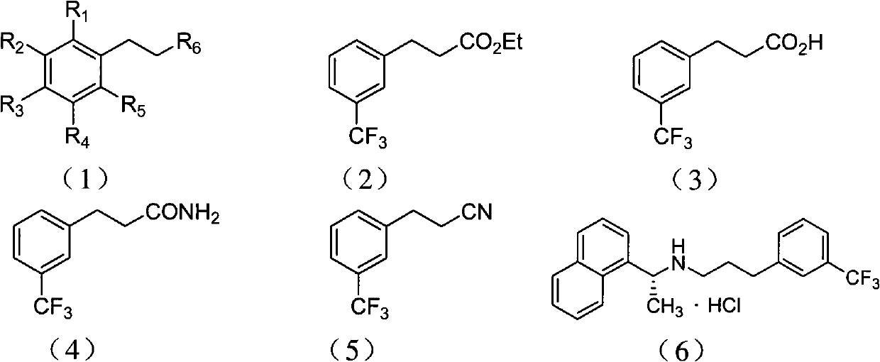 Preparation method of aryl propionic acid derivative