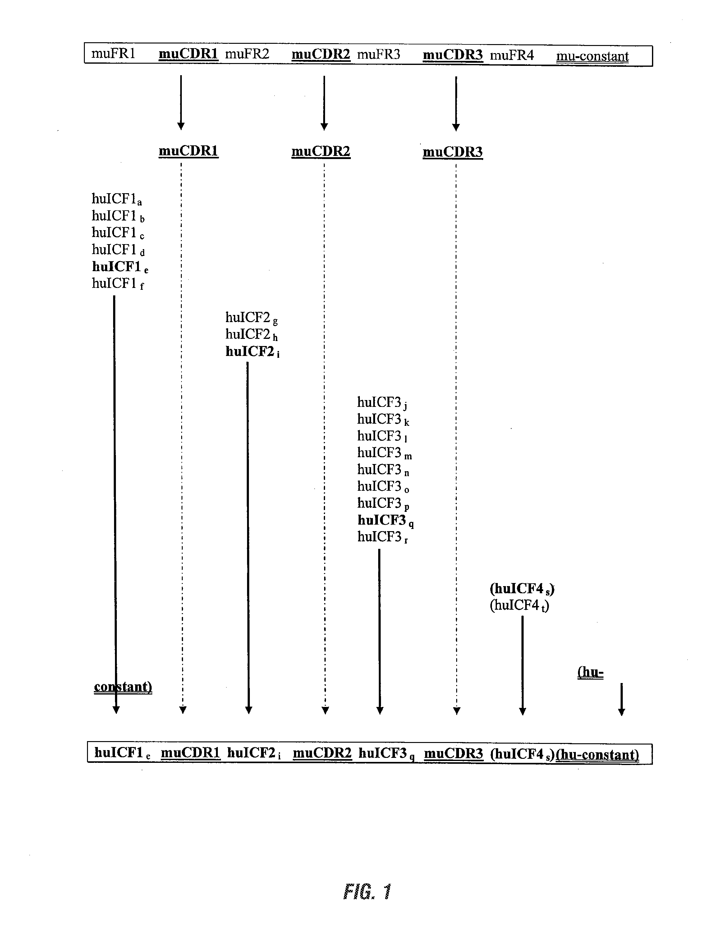 Antibodies and methods for making and using them