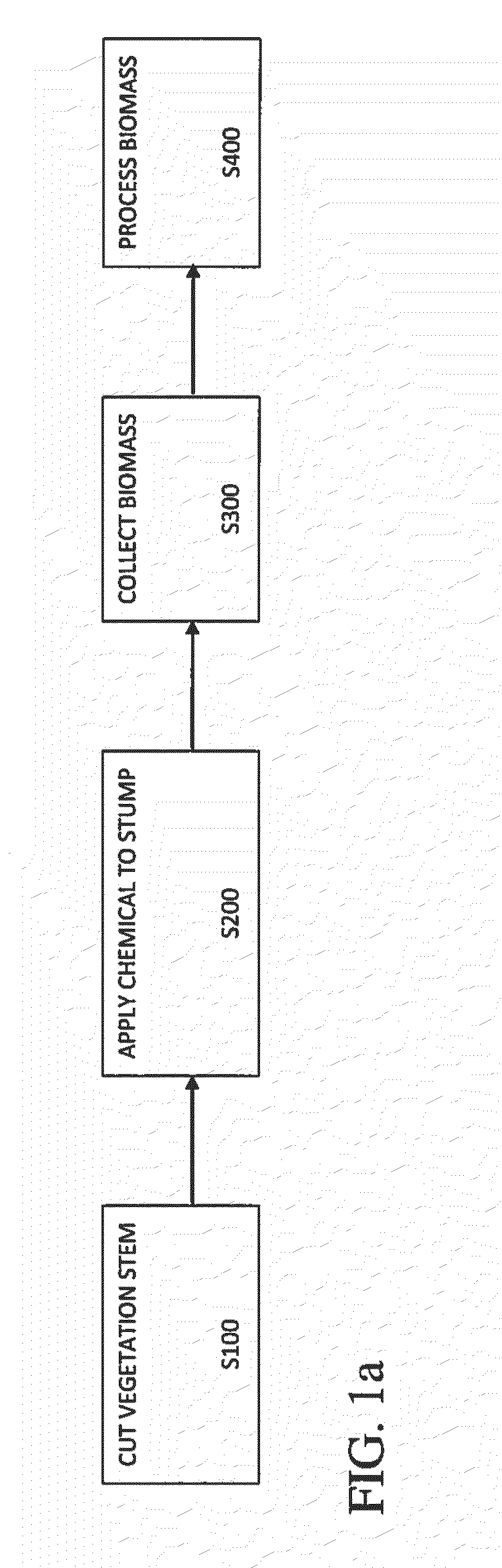 Vegetation cut and application method and apparatus