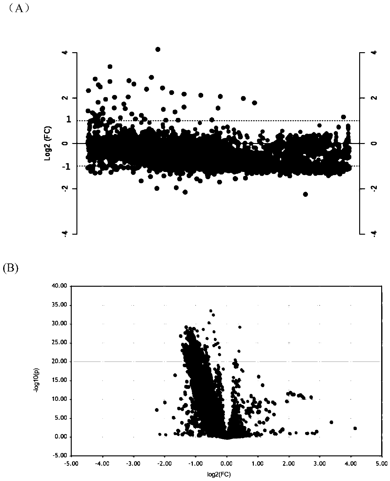 Metabolite composition for pre-operative early warning of transplanted kidney delayed rework of donation receptor after cardiac death and screening method thereof