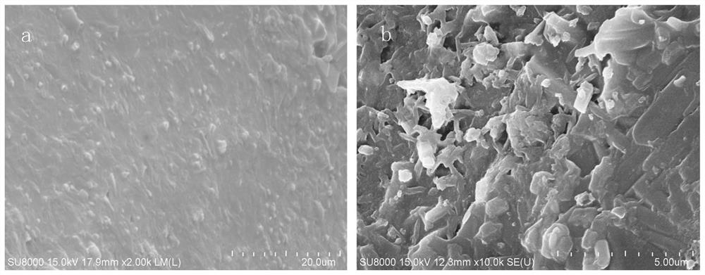 A kind of foam glass-ceramics and preparation method of composite utilization of iron tailings and waste glass