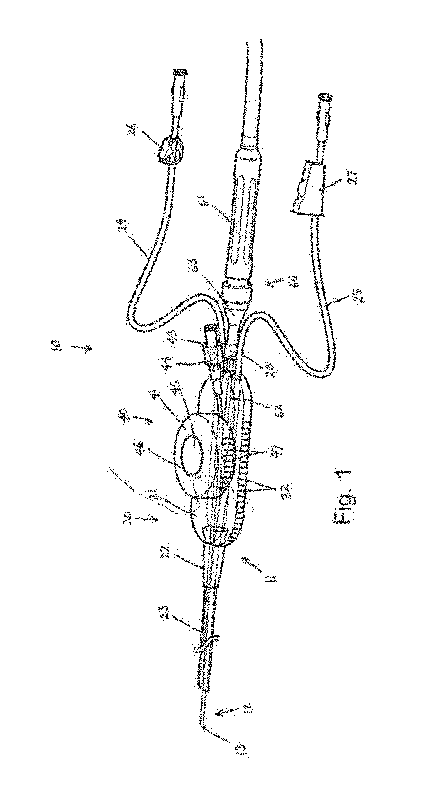 Medical Device Introduction Systems and Methods