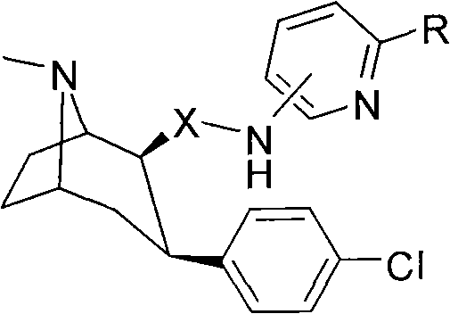 Dopamine transporter imaging medicine and preparation method thereof