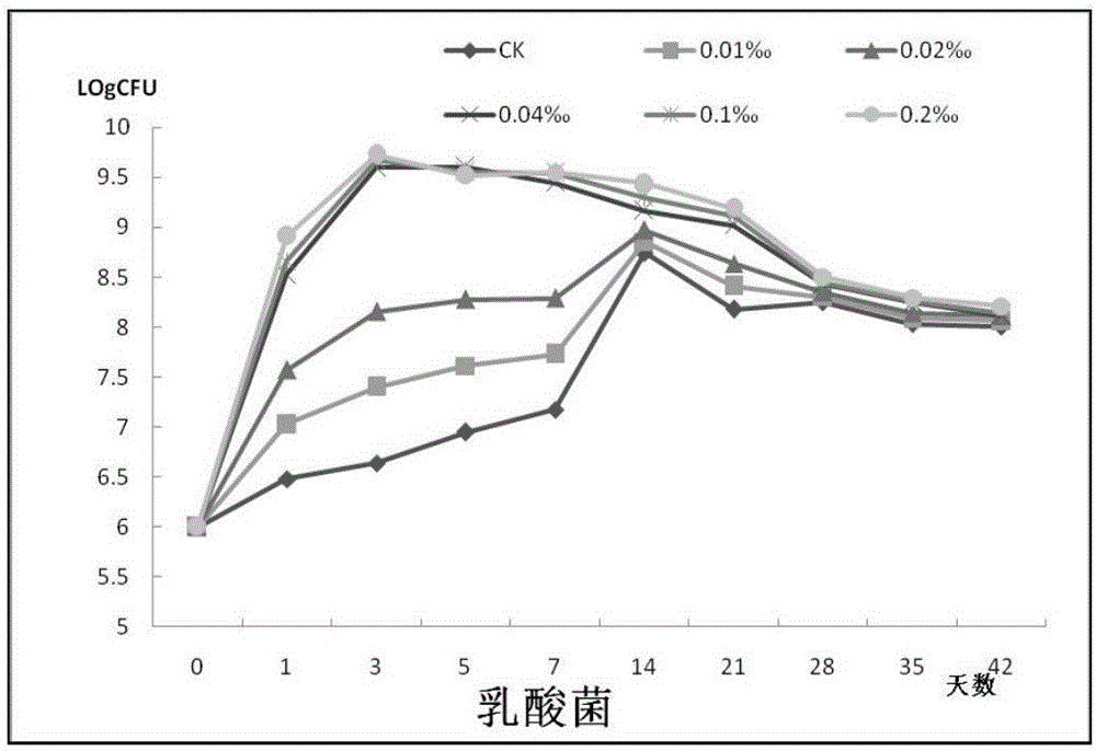 Lactic acid bacteria agent suitable for grass silage and application thereof