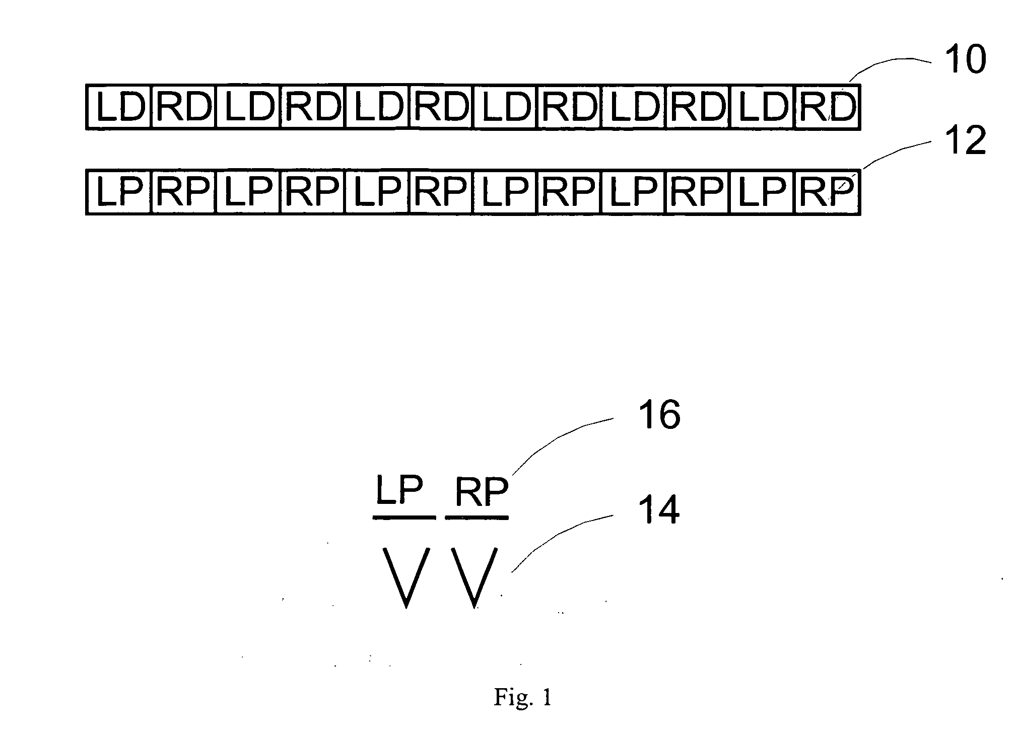 Stereoscopic display using polarized eyewear