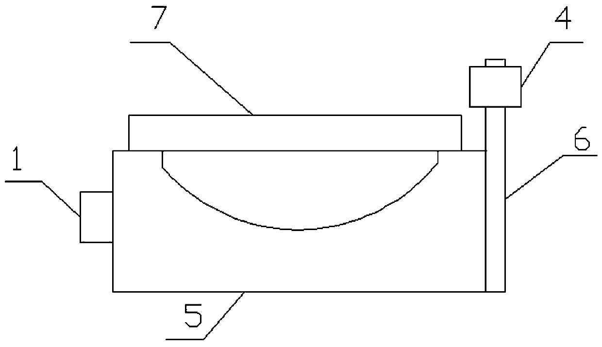 Bone marrow smear dyeing system