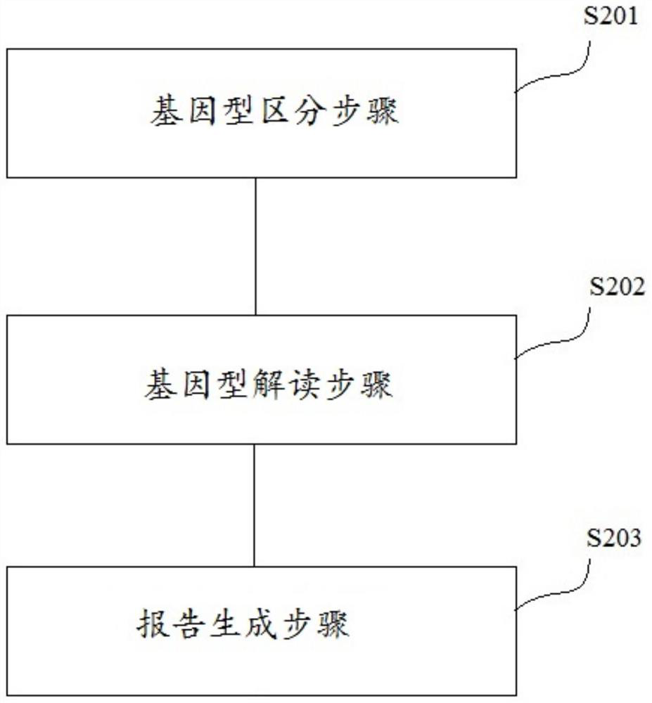 Drug metabolic enzyme and drug action target gene detection method and device and storage medium