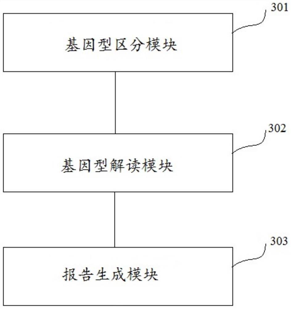 Drug metabolic enzyme and drug action target gene detection method and device and storage medium