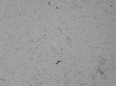 Diethylamine degradation pseudomonas strain EYA-2 and application thereof